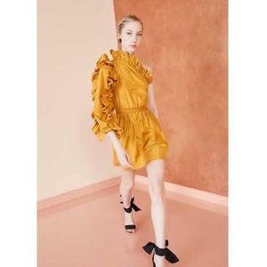 New With Tags! Ulla Johnson Falaise Dress